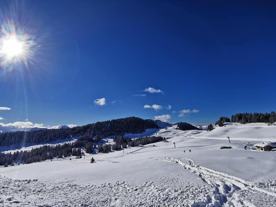 Hotel Du Midi 3*