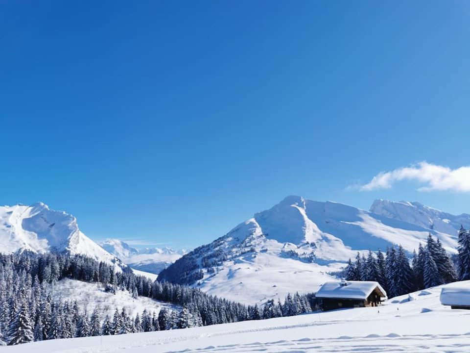 Du Midi Thônes
